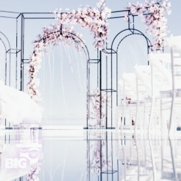 BIG PARTY: KĀZAS, BANKETI UN SVINĪBAS pasākumu organizēšana / СВАДЬБЫ, БАНКЕТЫ И ТОРЖЕСТВА организация праздника