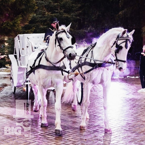 BIG PARTY: ROMANTIKA UN PĀRSTEIGUMI /РОМАНТИКА И СЮРПРИЗЫ