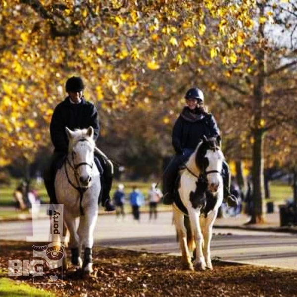 BIG PARTY: ROMANTIKA UN PĀRSTEIGUMI /РОМАНТИКА И СЮРПРИЗЫ