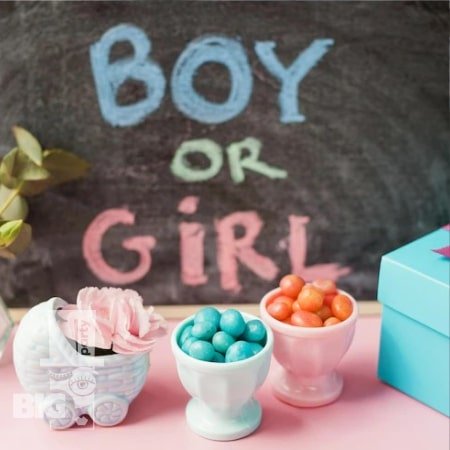 BigParty_gender party_0001-min