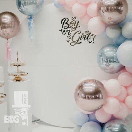 BigParty_gender party_0004-min