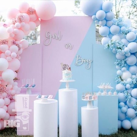 BigParty_gender party_0006-min