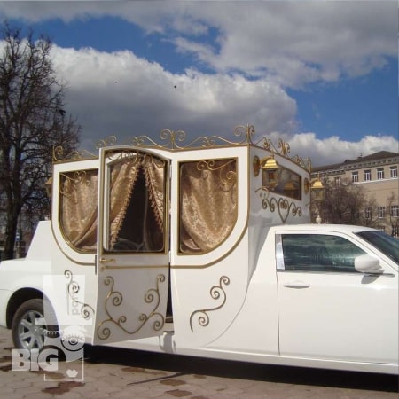 BigParty_gender party_0028-min